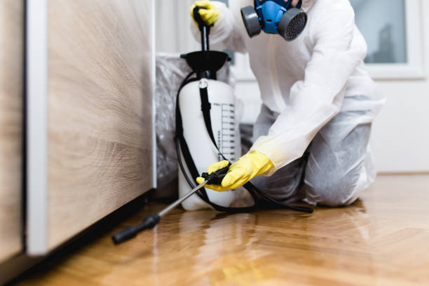 Best Bed Bug Extermination  in Bald Kno, AR