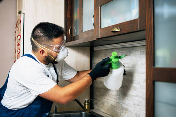 Best Pest Control Treatment  in Bald Kno, AR