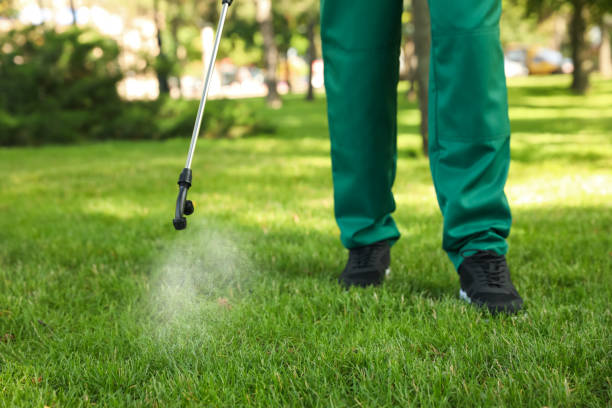 Best Wildlife Control Services  in Bald Kno, AR