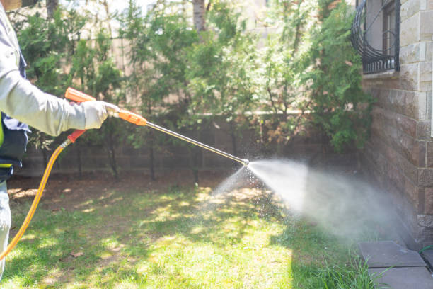 Best Cockroach Control Services  in Bald Kno, AR