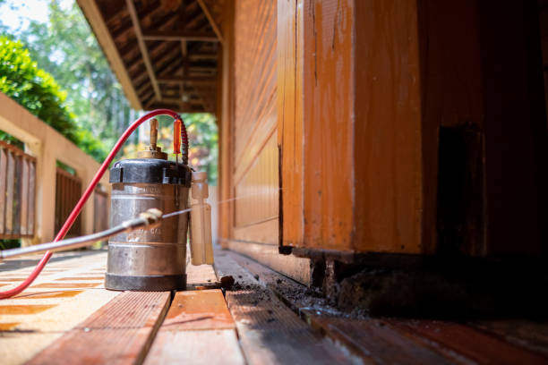 Pest Prevention Services in Bald Kno, AR